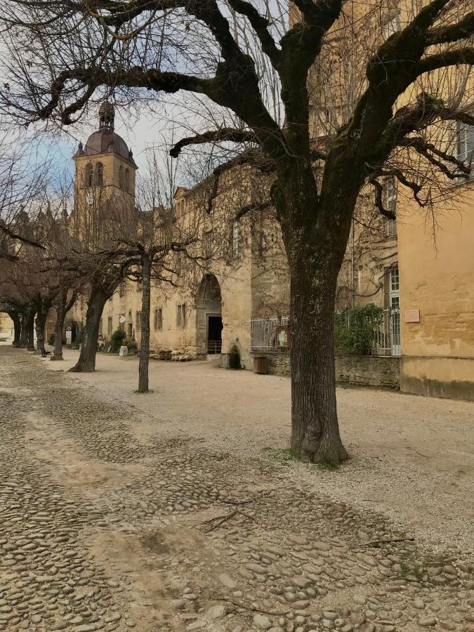 Saint-Antoine Graine De Tiliaアパートメント エクステリア 写真